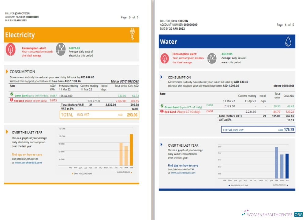 download UAE Umm Al Quwain Al Ain Distribution Co. Word and PDF utility bill template (5 pages) 3 4 PDF template